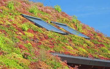 Bouldnor living roof systems